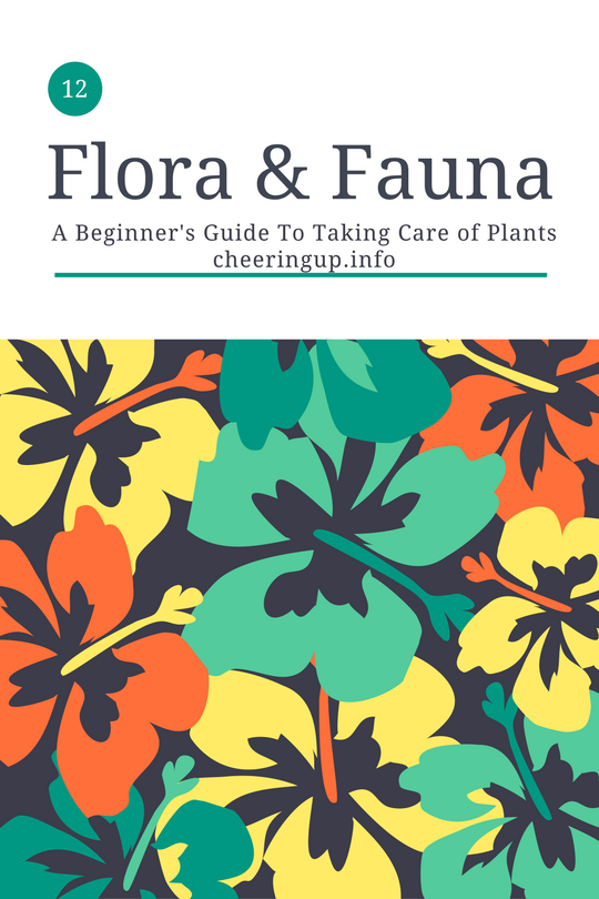 flora and fauna guide to plants and garden life
