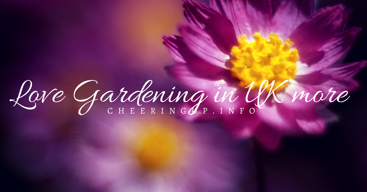 Love Gardening Guru More Tips Advice Ideas Offers