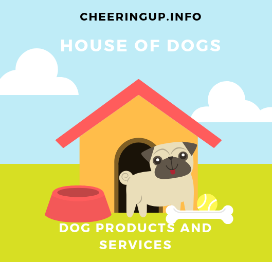 Dog Products Dog Accessories Dog Services