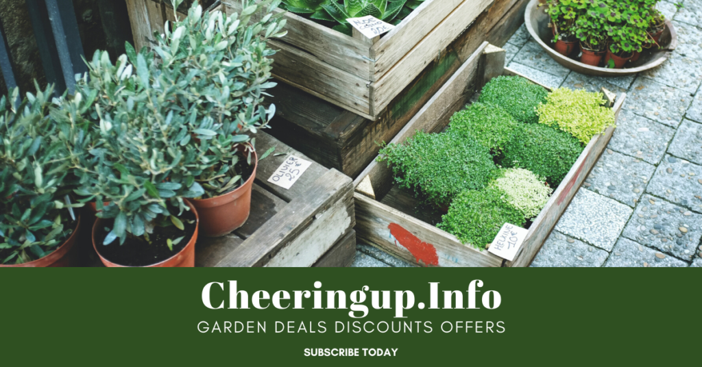 Online Garden Centre