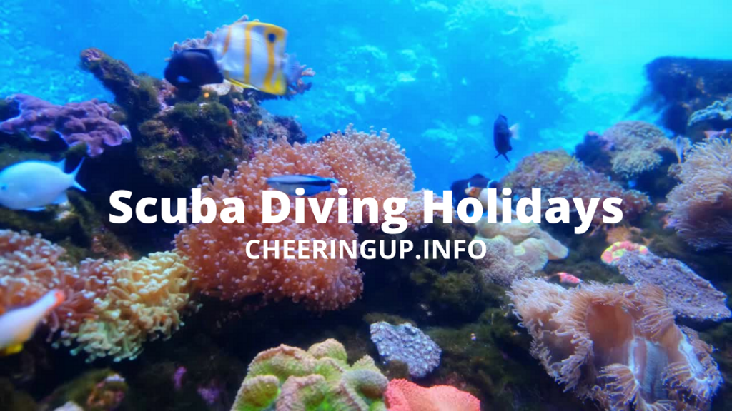 Best Scuba Diving Holidays On CheeringupInfo