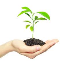 Business Growth Ideas 225 x 224