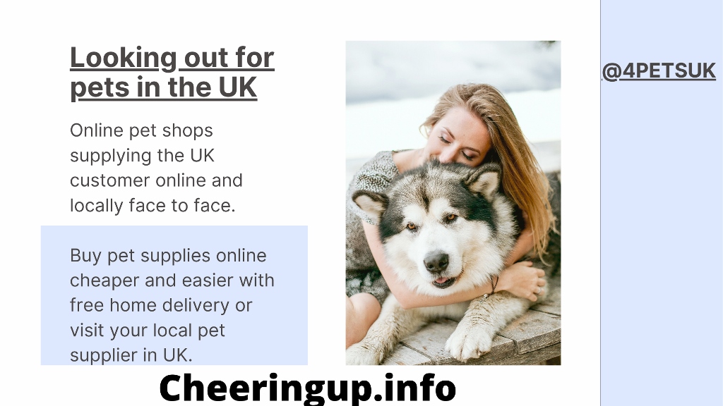 Online Pet Shops