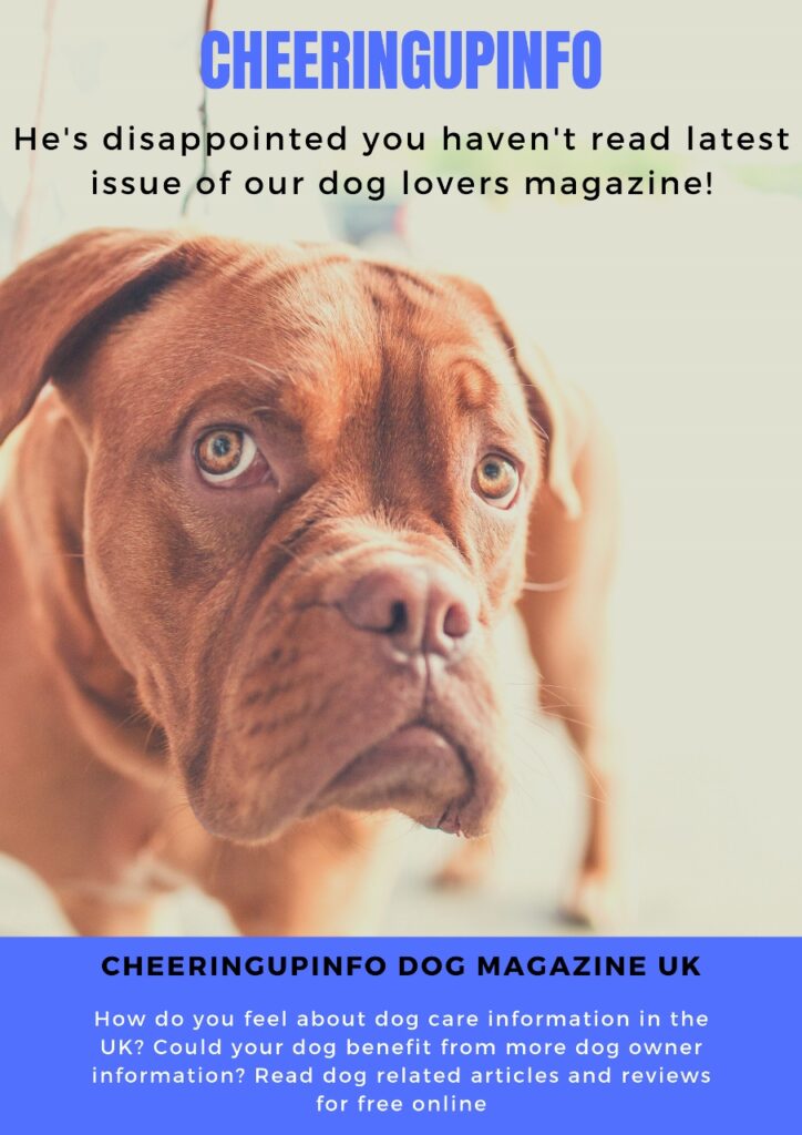 Dogs Magazines UK