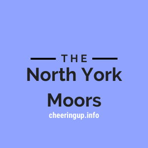 North York Moors Online