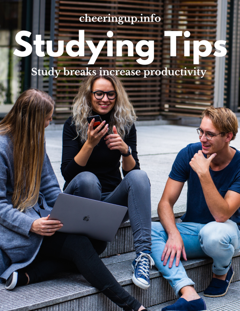 How to have a productive study day
