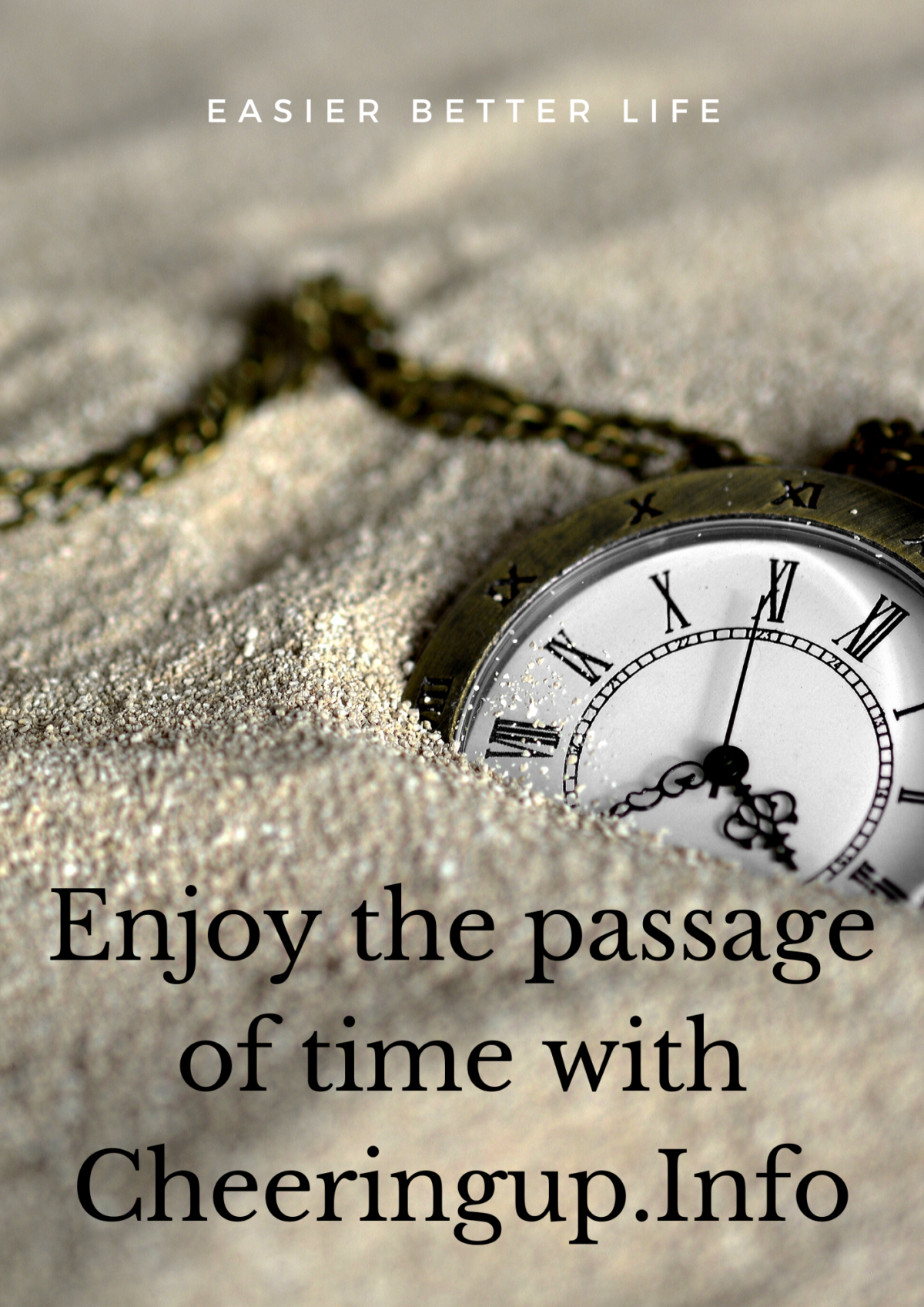 Enjoy The Passage Of Time