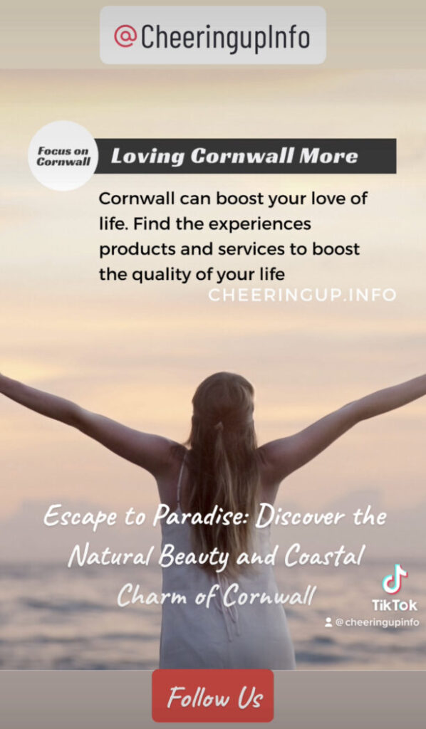 Cornwall Marketplace Magazine Cornwall500