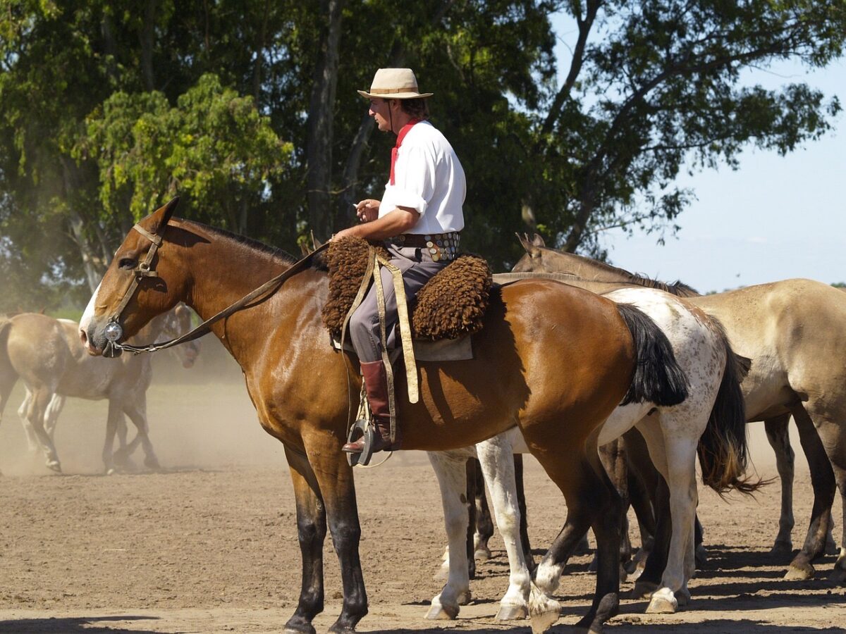 Global Digital Nomad : Gaucho Experience Near Iguazú Falls