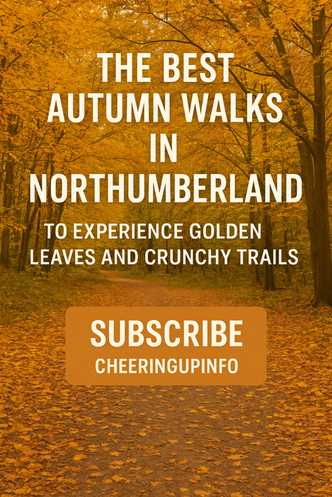 Lifestyle improvement magazine articles and videos on UK lifestyle improvement tips and UK business growth